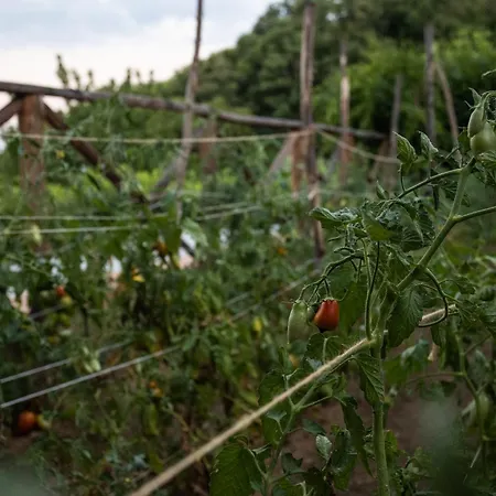 לינה וארוחת בוקר Rosaria Sea View Vietri